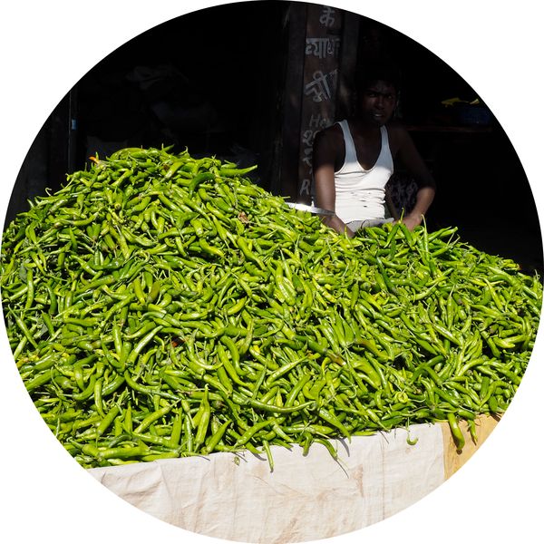 een kleine stad, Bhim, Rajasthan • India